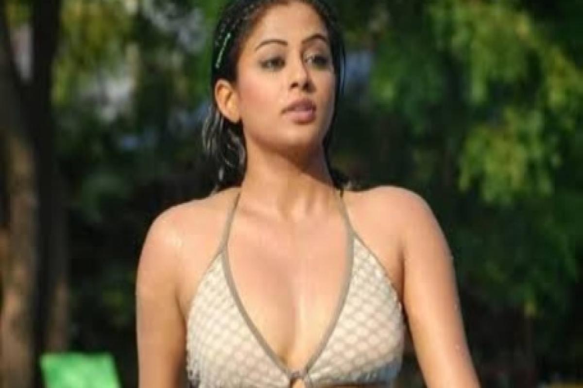 ഇന്ത്യാ - ഹോളിവുഡ് സിനിമയിൽ മലയാളി പ്രിയാമണി നായിക