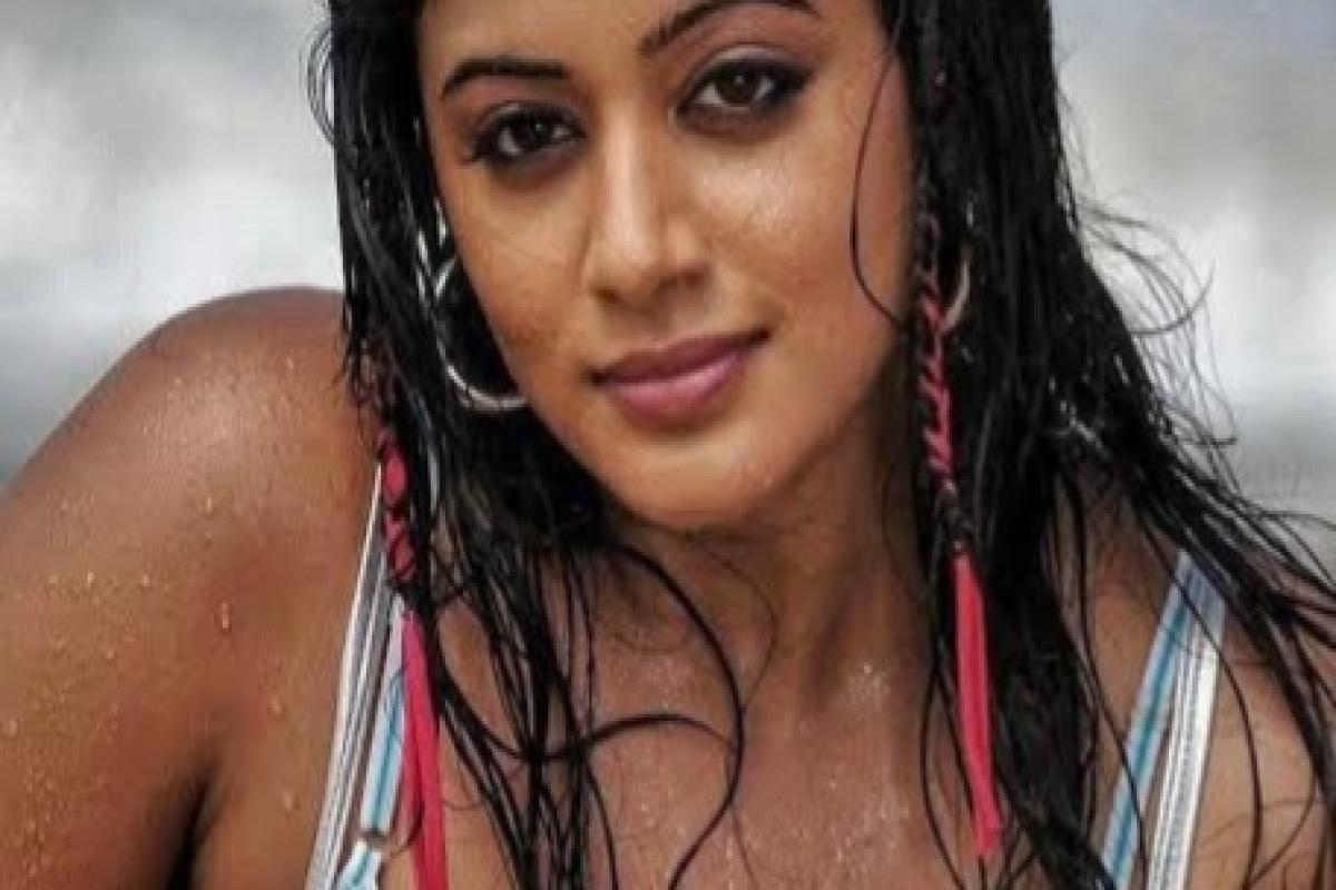 Mohit Raina and Malayali Actress Priyamani to Lead Indo-Hollywood Film